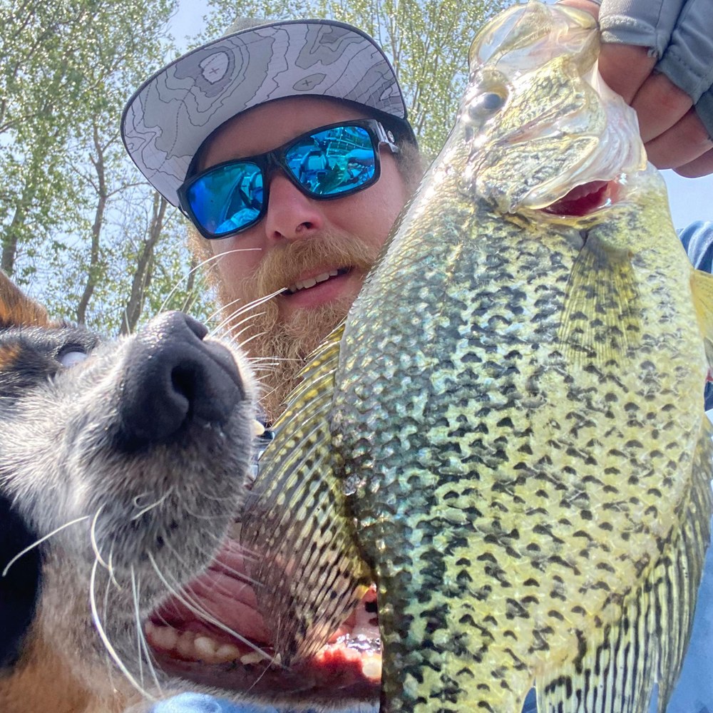 Meet your Posher, Carson